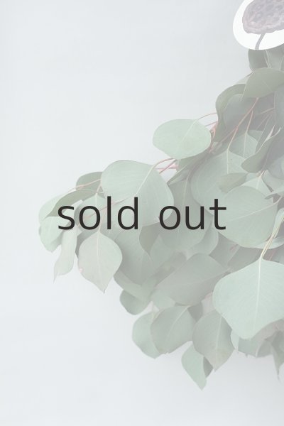 画像3: Dry plants for decor ユーカリ（ポポラス）シンプルスワッグ (3)