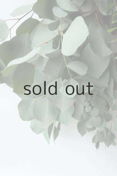 画像4: Dry plants for decor ユーカリ（ポポラス）シンプルスワッグ (4)