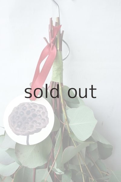 画像2: Dry plants for decor ユーカリ（ポポラス）シンプルスワッグ (2)