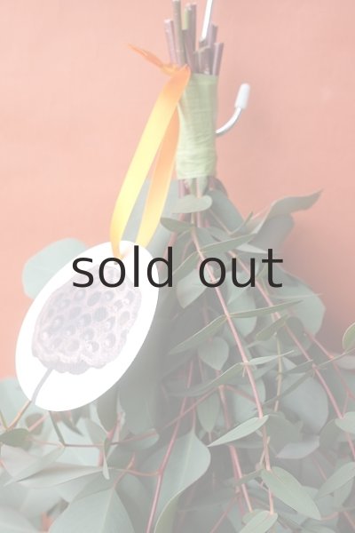 画像3: Dry plants for decor ユーカリ（ポポラス）シンプルスワッグ (3)