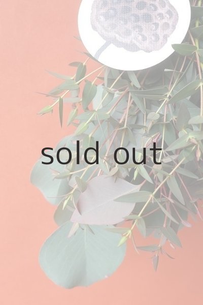 画像3: Dry plants for decor ユーカリ（ポポラス）シンプルスワッグ (3)