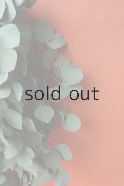 画像5: Dry plants for decor ユーカリ（ポポラス）シンプルスワッグ (5)