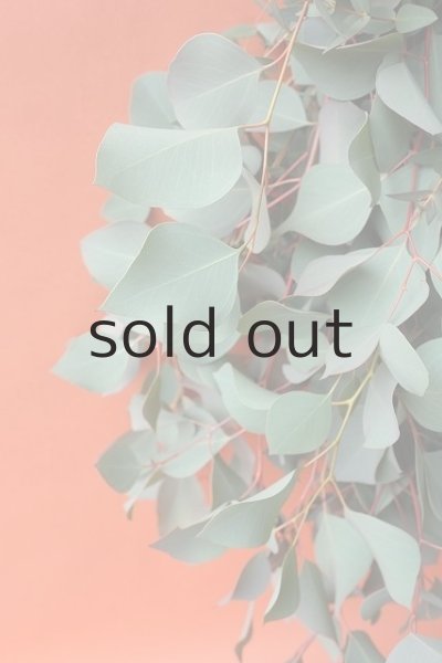 画像4: Dry plants for decor ユーカリ（ポポラス）シンプルスワッグ (4)