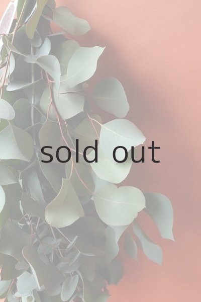 画像5: Dry plants for decor ユーカリ（ポポラス）シンプルスワッグ (5)