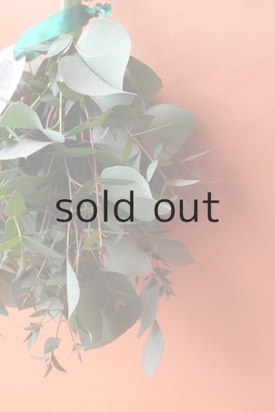 画像5: Dry plants for decor ユーカリ（ポポラス）シンプルスワッグ (5)