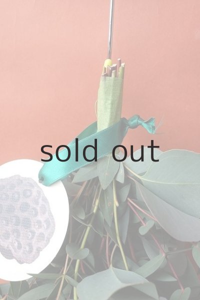 画像2: Dry plants for decor ユーカリ（ポポラス）シンプルスワッグ (2)