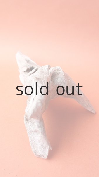 画像6: 変形流木 (6)