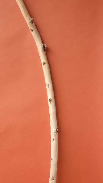 画像3: 棒流木 (3)