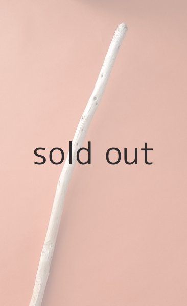 画像5: 棒流木 (5)