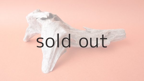 画像3: 変形流木 (3)