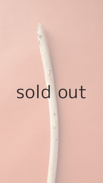 画像4: 棒流木 (4)