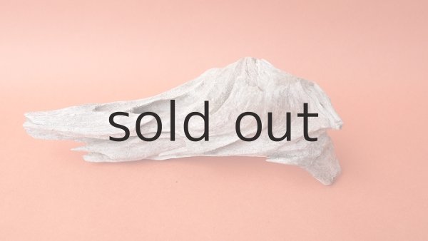 画像2: 変形流木 (2)