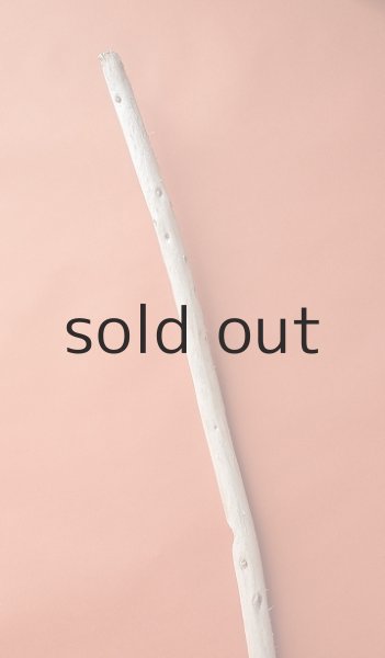 画像4: 棒流木 (4)