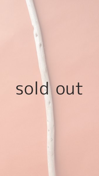 画像3: 棒流木 (3)