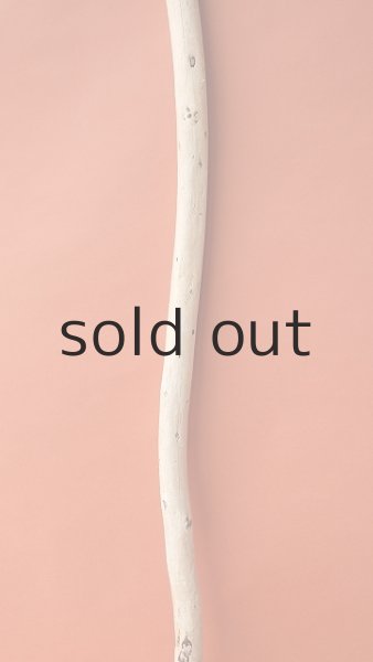 画像3: 棒流木 (3)