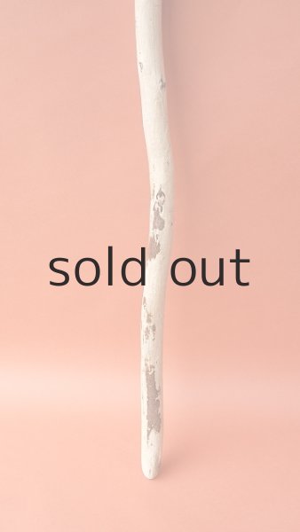 画像2: 棒流木 (2)