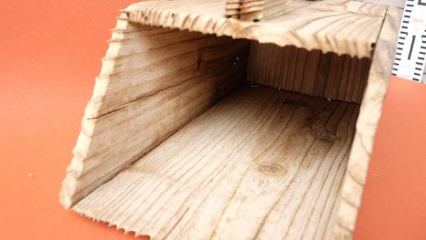 画像4: その他流木 (4)