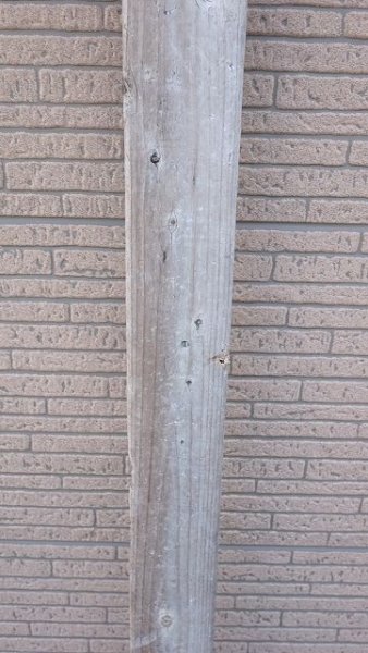 画像3: 板流木・長尺 (3)