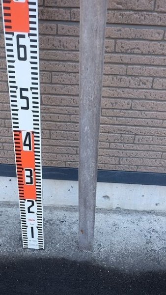 画像5: 板流木・長尺 (5)