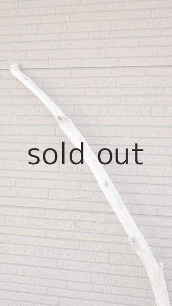 画像4: 棒流木・長尺 (4)