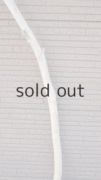 画像3: 棒流木・長尺 (3)