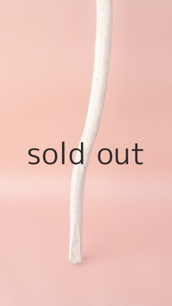 画像2: 棒流木 (2)