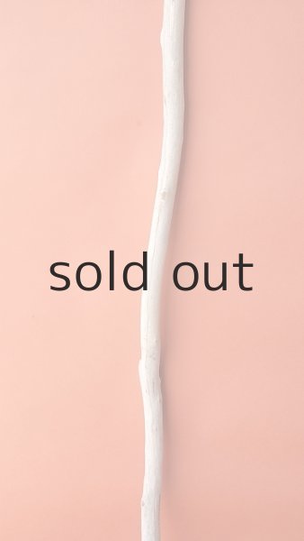 画像3: 枝流木 (3)