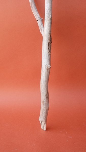 画像2: 小枝流木 (2)