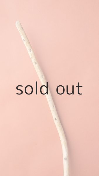 画像4: 棒流木 (4)