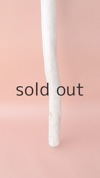 画像2: 棒流木 (2)