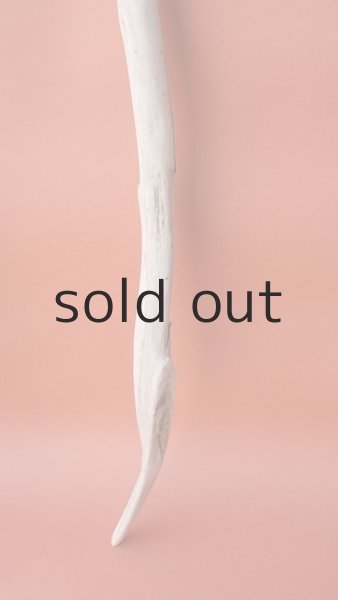 画像5: 枝流木 (5)