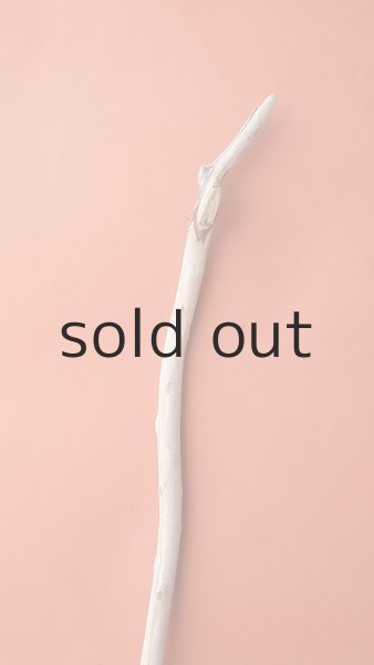 画像4: 枝流木 (4)