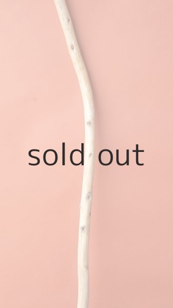 画像3: 棒流木 (3)