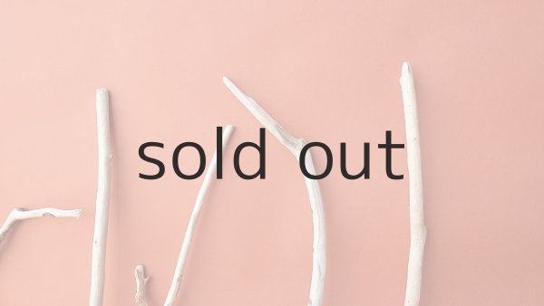 画像4: 小枝流木セット (4)