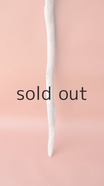 画像2: 枝流木 (2)