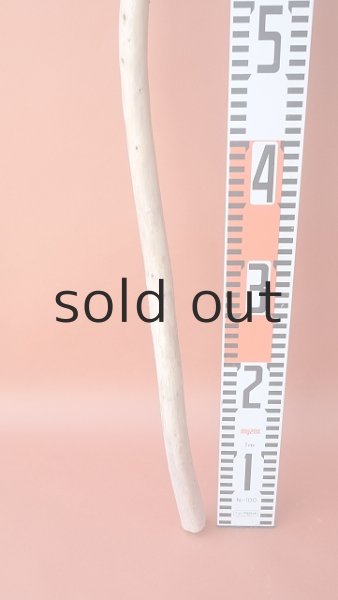 画像5: 棒流木 (5)