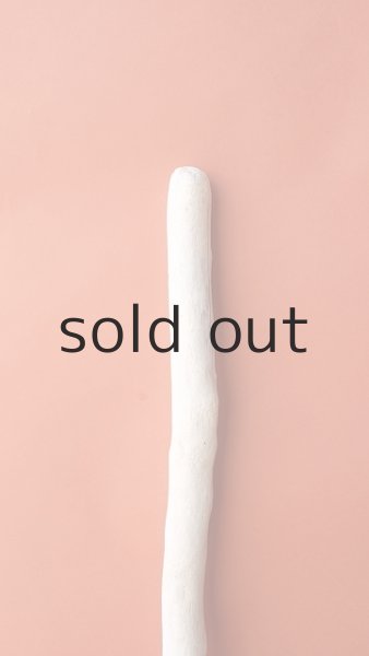 画像4: 棒流木 (4)