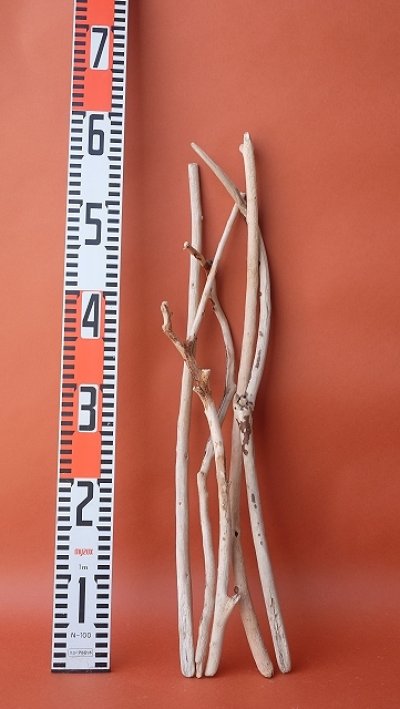 画像3: 小枝流木セット