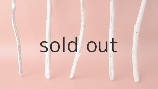 画像2: 小枝流木セット (2)