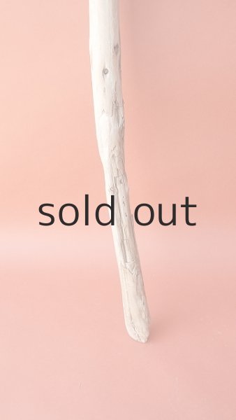 画像2: 棒流木 (2)