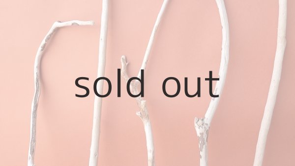 画像3: 小枝流木セット (3)