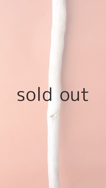 画像3: 棒流木 (3)