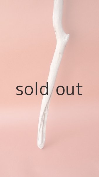 画像2: 枝流木 (2)