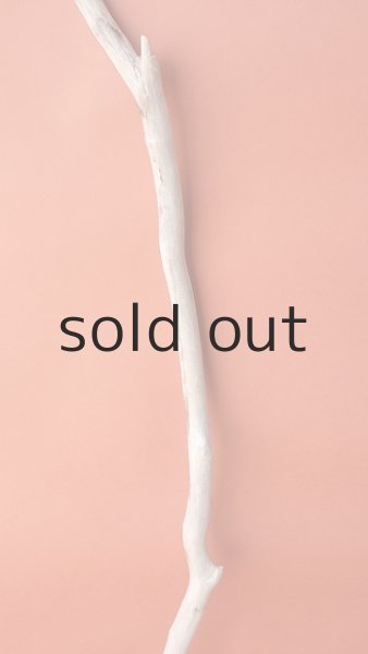 画像3: 枝流木 (3)