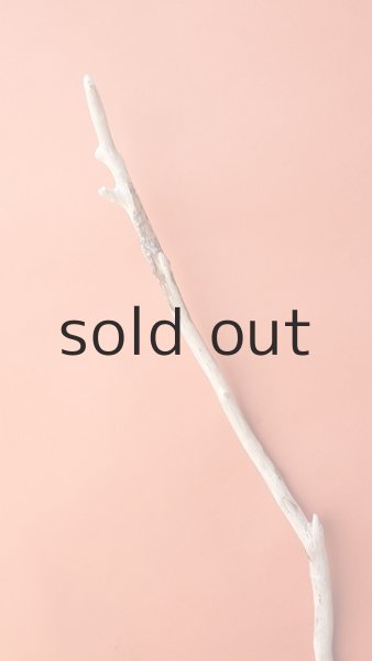 画像4: 枝流木 (4)