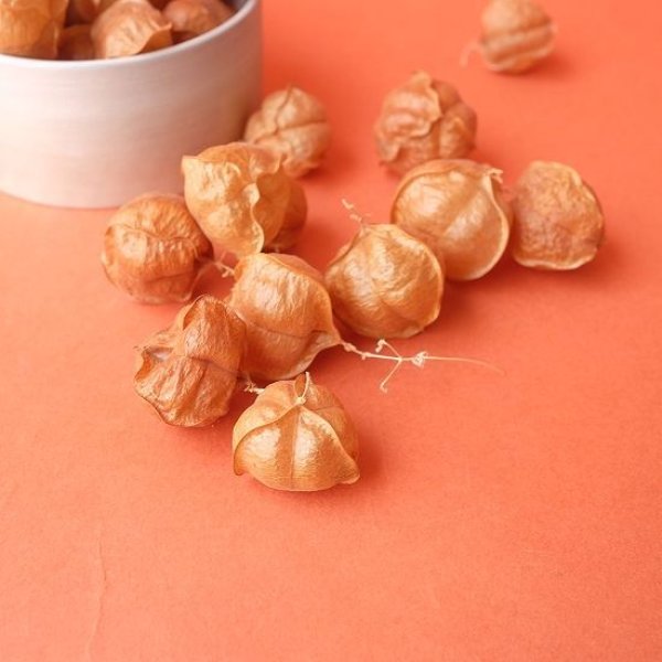 画像2: Dry plants for decor デコール用乾燥風船かずら（10個入） (2)