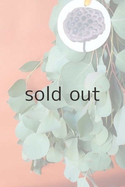 画像3: Dry plants for decor ユーカリ（ポポラス）シンプルスワッグ (3)