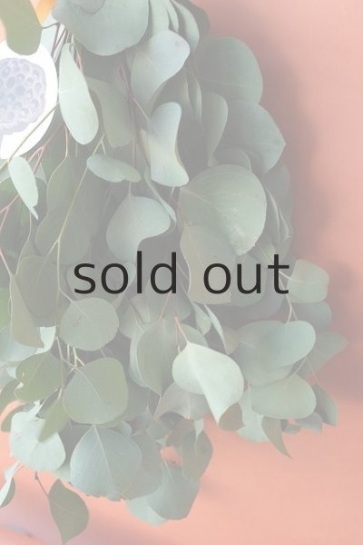 画像5: Dry plants for decor ユーカリ（ポポラス）シンプルスワッグ (5)