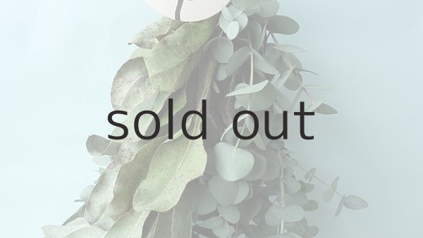 画像3: Dry plants for decor ユーカリ2種シンプルスワッグ (3)