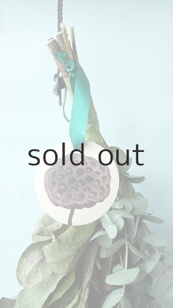 画像2: Dry plants for decor ユーカリ2種シンプルスワッグ (2)